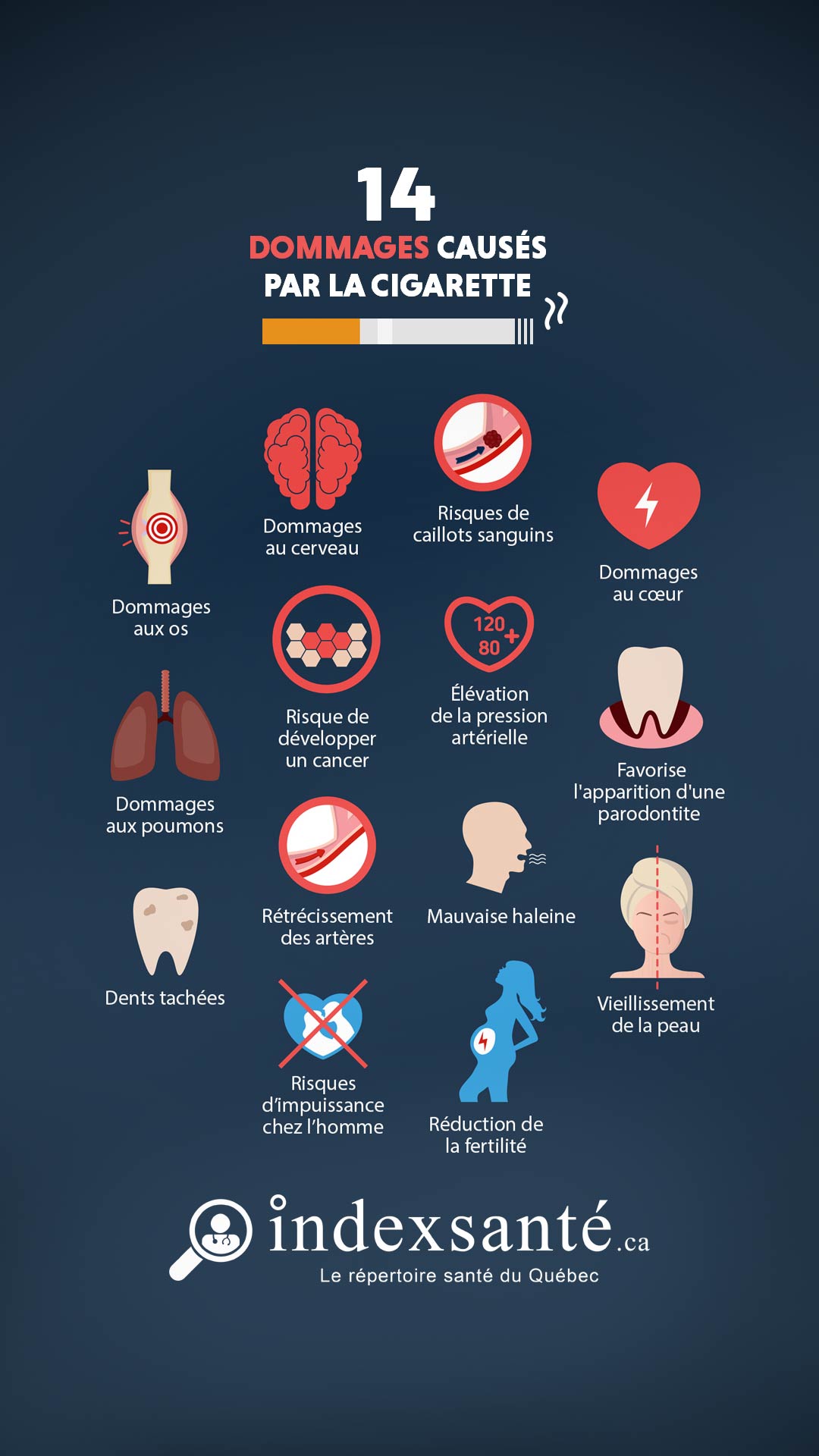 14 dommages causés par la cigarette