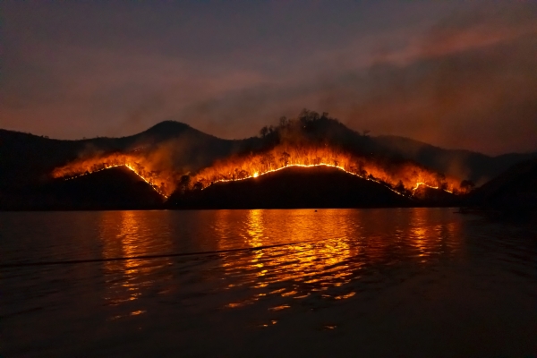Incendies de forêt et dégradation de la qualité de l'air - Appel à la vigilance afin de protéger sa santé