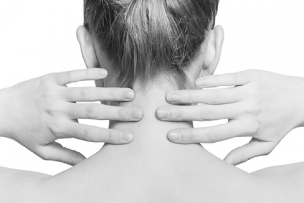 L'Ordre des chiropraticiens du Québec assermente 27 nouveaux chiropraticiens